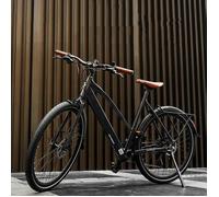 Fafrees F700m E-Bike 100hp 250w Shimano 9 Speed Urban E-Bike Multicolore