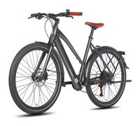 FAFREES F700W Vélo Électrique - Moteur 250W Batterie 36V10AH Freins Hydrauliques Cadre Aluminium - Noir