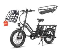 Fafrees FF20 CUV - Vélo cargo électrique - 250 W - 48 V - 24 Ah - Vitesse maximale 25 km/h - Noir - Avec porte-bagages arrière