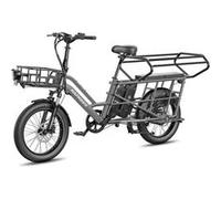 FAFREES FF20 CUV Vélo Électrique 250W 48V24Ah 20" Freins Hydrauliques - Gris Gris