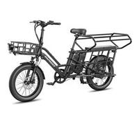 FAFREES FF20 CUV Vélo Électrique 250W 48V24Ah 20" Freins Hydrauliques - Noir Noir