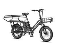 FAFREES FF20 CUV - Vélo Électrique Cargo Longtail 20"" - Moteur 250W - Batterie 48V 24Ah - Autonomie 140 km -Freins Hydrauliques Noir