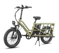 Fafrees FF20 CUV Vélo électrique familial cargo 24 Ah batterie 20 x 3.0"" Fat bike 75 Nm Vélo montagne électrique charge 200 kg Vert