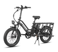 Fafrees FF20 CUV Vélo électrique familial cargo 24 Ah batterie 20 x 3.0"" Fat bike 75 Nm Vélo montagne électrique charge 200 kg Noir