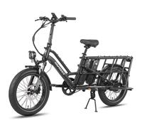 FAFREES FF20 CUV Vélo Électrique - Moteur 250W Batterie 48V24Ah 20 Pouces Pneus Freins à Disque Hydrauliques - Noir