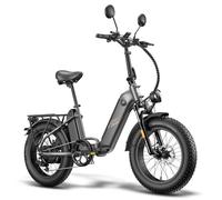 Fafrees FF20 Polar Vélo électrique urbains pliable 20 x 4,0"" Fat bike 48V 13.4 Ah Freins à câble avec Autorisation de l'UE Noir
