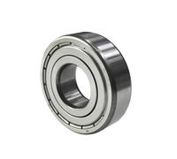 FAG 6009.2RSR Support