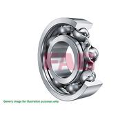 FAG 6309.2RSR.C3 Support