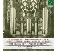 Fagiani, Eugenio Maria - Organ in The Age of. [Import]