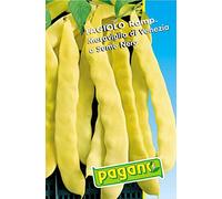 Fagiolo Rampicante Meraviglia Venezia semi del fagiolo-25 GMS