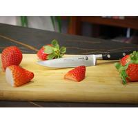 FAGOR Couper Couteau de cuisine professionnel Couteau à éplucher 10 cm, Lame en acier inoxydable, Poignée ergonomique