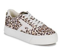 Faguo, Walnut Platform S25CF0904, Femme Basket_Mode_Basse Beige - 38 EU