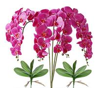 FagusHome 4 Pièces Fleur Artificiel Phalaenopsis Orchidée 80cm avec 2 Pièces Feuille d'Orchidée Artificielle Feuilles artificielles de Phalaenopsis (Violet)