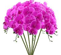 FagusHome 6 Pièces Fleur Artificiel Phalaenopsis Orchidée 80cm Artificielle Orchidée artificielles de Phalaenopsis pour Décoration