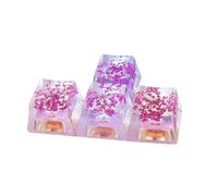 Fahoujs Seulement KeyCap Feuilles Fleurs Seches Motif Transucents Capuchons de clé Escs pour claviers mécaniques Installation Capuchon de clé de clavier mécanique