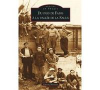Fains à la Vallée de la Saulx (Du Pays de) Vincent Maizière (Auteur)