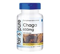 Fair & Pure® - Chaga 650mg (Inonotus obliquus) - naturel - végan - 120 gélules
