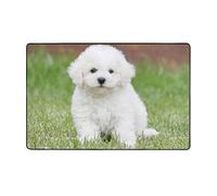 FAIRAH Tapis antidérapant motif chien bichon frisé décoration de chambre, convient pour diverses occasions