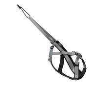 Faire de traction de chien - 24,4-35,03 pouces STRAP DE RUNDRE POUR LA RECHERCHE pour la marche, l'entraînement avec un ajustement réglable, un harnais d'exercice en plein air pour le traîneau, les an