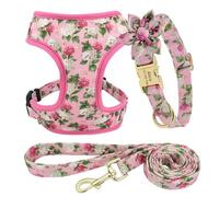 Faire du Harnais De Collier De Chien Personnalisé Ensemble De La Laisse Douce Confortable Confortable Anti-Perte en Nylon pour Chiens pour Chiens Moyens Et Grands,Un,XS