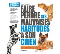 Faire perdre ses mauvaise habitudes à son chien