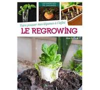 Faire pousser mes légumes à l'infini : le regrowing