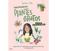 Faire pousser ses plantes gratos: Apprends à transformer un petit bout de tige en méga plante