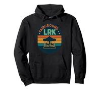 Fairground LRK Chemise rétro Carrousel Lumières Arkansas Night Sweat à Capuche