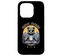 Fairplay Colorado Ours Chill Zen Yoga Design abstrait Coque pour iPhone 15 Pro