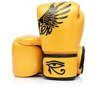 Fairtex BGV1 Gants d'entraînement de Boxe Muay Thai pour Hommes, Femmes, Enfants | Gants MMA pour Arts Martiaux| Qualité supérieure, léger et Absorbant Les Chocs