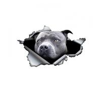 FAiruo Autocollant 3D autocollant bleu Pitbull Cool Dog Autocollant de voiture imperméable décors automatiques sur pare-chocs vitre arrière ordinateur portable (couleur : A, taille : 13 cm)