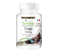 Fairvital | Chaga 500mg VEGAN - Hautement dosé - 90 capsules - Inonotus obliquus - champignon en poudre