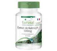 fairvital Extrait de Kalmegh 500mg, 90 gélules, extrait 5 fois concentré de feuilles de Kalmegh, pour 3 mois, qualité contrôlée et hautement dosé, 100% végétalien, fabriqué en Allemagne