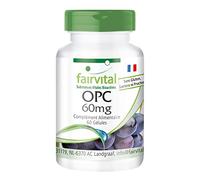 fairvital Extrait de pépins de raisin OPC, 60 gélules, faciles à avaler, avec 540mg par dose journalière, hautement dosé, VÉGÉTALIEN, proanthocyanidines oligomères