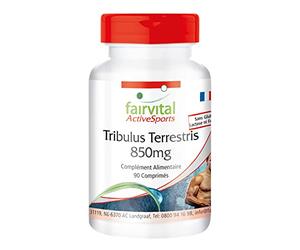 fairvital Extrait de Tribulus Terrestris 850mg, 90 comprimés, HAUTEMENT DOSÉ, 90% de saponines et 22% de protodioscine, VÉGÉTALIEN