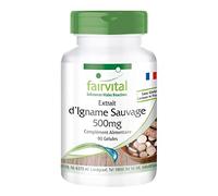 Fairvital | Extrait d'igname sauvage 500mg - standardisé à 20% de diosgénine (100mg par gélule) - 90 gélules - substance pure