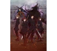 Fairy Gone Dvd Vol.2