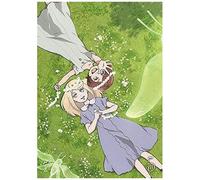 Fairy Gone Dvd Vol.5