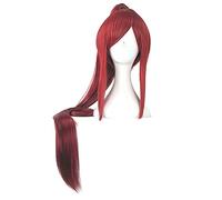 Fairy Tail Erza écarlate rouge longue queue de cheval perruque droite Cosplay Costume femmes résistant à la chaleur cheveux synthétiques fête jeu de rôle perruques ZY-900