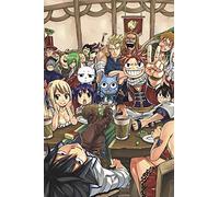 Fairy Tail Manga Box Set 4