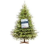 FAIRYTREES Sapin De Noël Artificiel Nordmann Exklusiv 100% PE, Vert