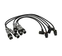 Faisceau d'allumage ENGITECH ENT910307