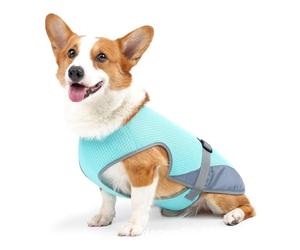 Faisceau de câblage de refroidissement pour chien, ceinture de refroidissement pour chien Giubbotto di raffreddamento per cani, raffreddamento con imbracatura per cani giubbotto estivo | SCAGLIO ALLA