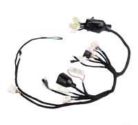 Faisceau de câblage Plug-and-Play pour vélo électrique SurRon pour Light | Remplacement direct, construction caoutchouc-cuivre, signal stable et alimentation d'alimentation, protection complète des