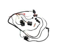 Faisceau de câbles CDI bobine d'allumage redresseur prise électrique serrure porte interrupteur ensemble adapté for CG 150cc 200cc 250cc ATV Quad Dirt Bike