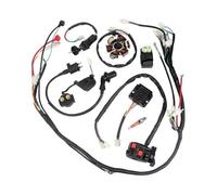 Faisceau de câbles CDI bougie d'allumage bobine redresseur interrupteur ATV Stator ensemble adapté for GY6 150cc Go Kart Scooter