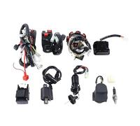 Faisceau de câbles électrique complet - Redresseur moteur CDI - Démarrage - Kit de construction - Bougie d'allumage - Quad Dirt Bike Dune Buggy - Redresseur - Système d'allumage - Bobine de stator