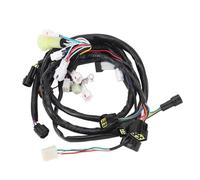 Faisceau de câbles électriques adapté pour 660 YFM660R 2002 2003 2004, remplace OE 5LP 82590 10 00 - Ensemble de faisceau de câbles principal ABS, connexion précise, installation