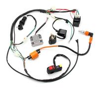 DXHSLH Faisceau de câbles électriques for Moto, for ATV Quad 150 200 250 300cc, Stator CDI Bobine, Assemblage Complet, pièces de Rechange, métier à Tisser