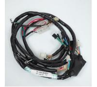 Faisceau électrique origine pour scooter Kymco 50 Agility 4T R10 32100-LCB9-C10